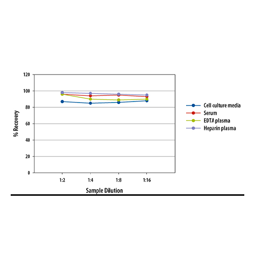 18208. HUMAN CHEMERIN QUANTIKINE ELISA KIT - R&D SYSTEMS