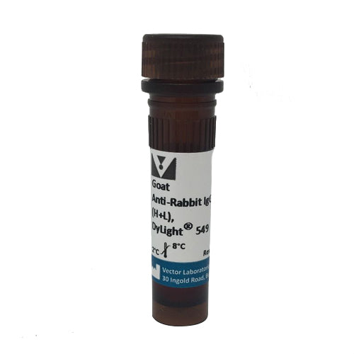 5234. GOAT ANTI-RABBIT IGG ANTIBODY (H+L) DYLIGHT 549, 1.5MG - VECTOR