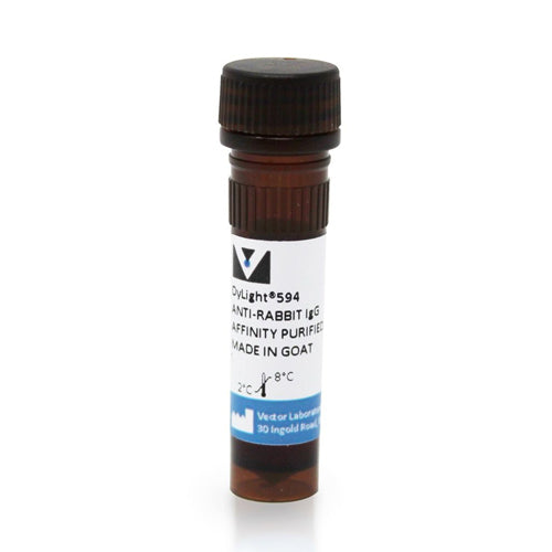 5235. GOAT ANTI-RABBIT IGG ANTIBODY (H+L) DYLIGHT 594, 1.5MG - VECTOR