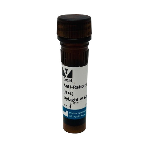 5236. GOAT ANTI-RABBIT IGG ANTIBODY (H+L) DYLIGHT 649, 1.5MG - VECTOR