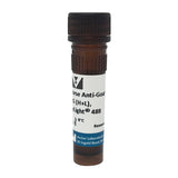 5241. HORSE ANTI-GOAT IGG ANTIBODY (H+L) DYLIGHT 488, 1.5MG - VECTOR