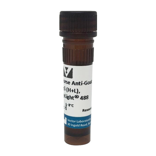 5241. HORSE ANTI-GOAT IGG ANTIBODY (H+L) DYLIGHT 488, 1.5MG - VECTOR