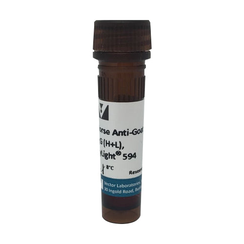 5242. HORSE ANTI-GOAT IGG ANTIBODY (H+L) DYLIGHT 594, 1.5MG - VECTOR