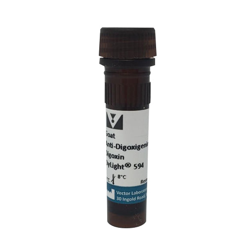 5243. GOAT ANTI-DIGOXIGENIN/DIGOXIN (DIG) ANTIBODY, DYLIGHT 594, 0.5MG - VECTOR