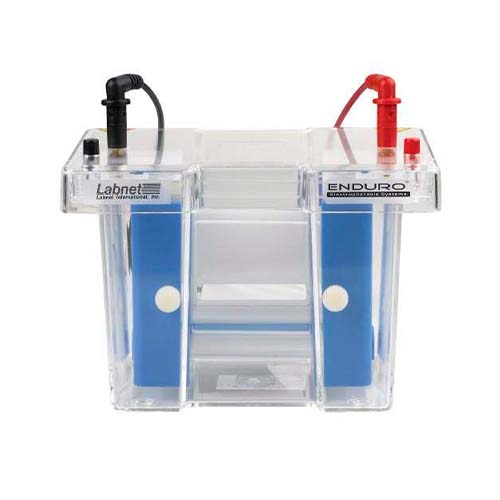 12682. SISTEMA DE ELECTROFORESIS VERTICAL ENDURO P/ELECTROBLOTTING, INCLUYE TANQUE E INSERTO DE BLOTTING - LABNET