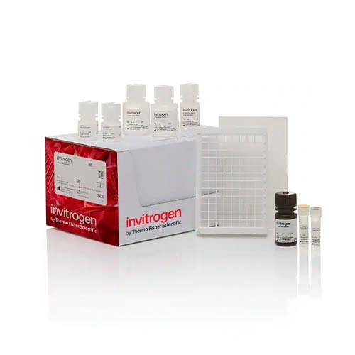 22739. KIT DE ACTIVIDAD COLORIMETRICA DE CATALASA 2 X 96 TESTS INVITROGEN