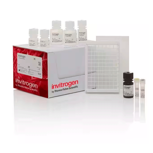 26903. KIT DE DETECTION COLORIMETRICA DE GLUTATION 4 X 96 TESTS INVITROGEN
