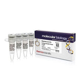11280.POLINUCLEOTIDO QUINASA T4 (10U/UL) 500UNITS - THERMO SCIENTIFIC