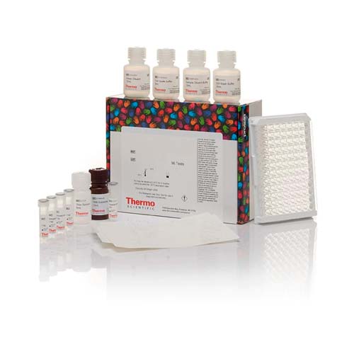 12152. IGE MOUSE ELISA KIT 96 TESTS - INVITROGEN