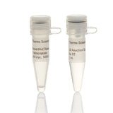 5025. TRANSCRIPTASA INVERSA REVERTAID 200U/UL 10,000U - THERMO SCIENTIFIC