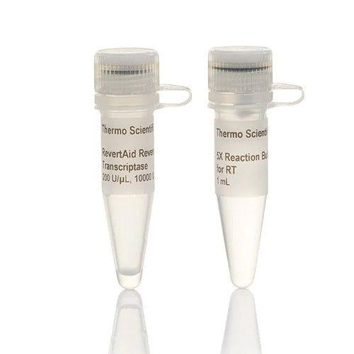 5025. TRANSCRIPTASA INVERSA REVERTAID 200U/UL 10,000U - THERMO SCIENTIFIC