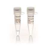 12884.DREAM TAQ DNA POLIMERASA 10X500UNITS - THERMO SCIENTIFIC