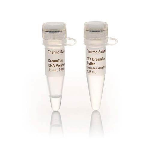 12884.DREAM TAQ DNA POLIMERASA 10X500UNITS - THERMO SCIENTIFIC