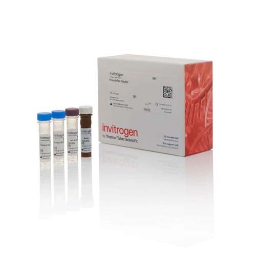 15766. MMP-1 HUMAN PROCARTAPLEX SIMPLEX KIT 96 TESTS - INVITROGEN