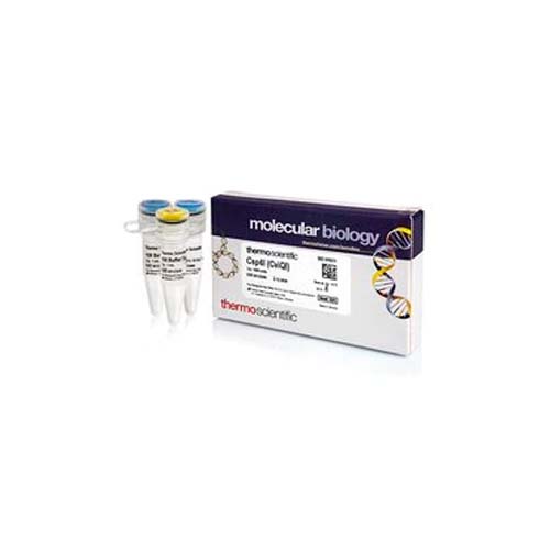 21275. ENZIMA DE RESTRICCION CSP6I (CVIQI) 10U/UL 1500U - THERMO SCIENTIFIC