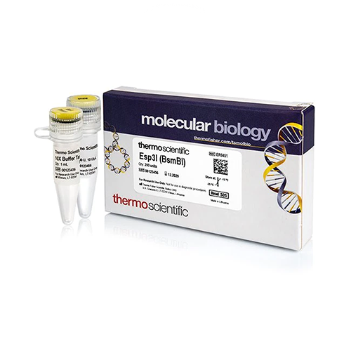 5634. ESP3I (BSMBI) 200UNITS - INVITROGEN