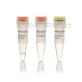 11314.VSPL (ASEL) 10U/UL 1000 UNITS - THERMO SCIENTIFIC