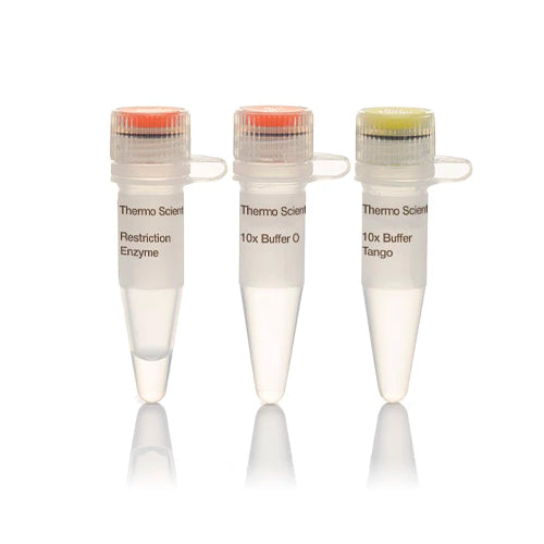 11314.VSPL (ASEL) 10U/UL 1000 UNITS - THERMO SCIENTIFIC