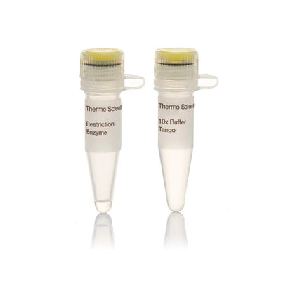 11315.BSP1407L (BSRGL) 10U/UL 300UNITS - THERMO SCIENTIFIC
