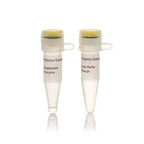 21900. ENZIMA DE RESTRICCION NHEL (10U/UL) 1000U - THERMO SCIENTIFIC