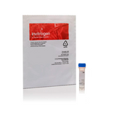 18032. FILMTRACER FM 1-43 GREEN BIOFILM CELL STAIN 1MG - INVITROGEN