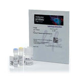 52861.  FLUOVOLT MEMBRANE POTENTIAL KIT MOLECULAR PROBES