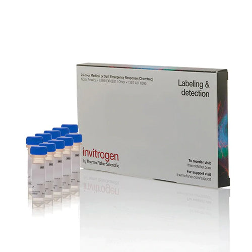 4533. FLUO-4, AM PENETRABLE EN CELULAS  10 X 50UG - INVITROGEN