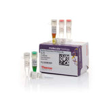 20966. MEZCLA MAESTRA DE PCR PHUSION BLOOD DIRECT 100 REACCIONES - THERMO SCIENTIFIC