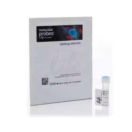 26878. FLUORESCEIN PHALLOIDIN 300U INVITROGEN