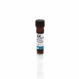 11248.GOAT ANTI-RABBIT IGG ANTIBODY (H+L) FLUORESCEIN 1.5MG - VECTOR