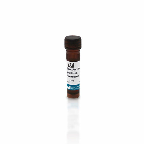 11248.GOAT ANTI-RABBIT IGG ANTIBODY (H+L) FLUORESCEIN 1.5MG - VECTOR