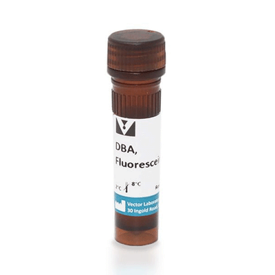 5252. DOLICHOS BIFLORUS AGGLUTININ (DBA) FLUORESCEIN 5MG - VECTOR