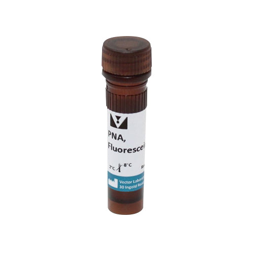 5254. PEANUT AGGLUTININ (PNA) FLUORESCEIN 5MG - VECTOR