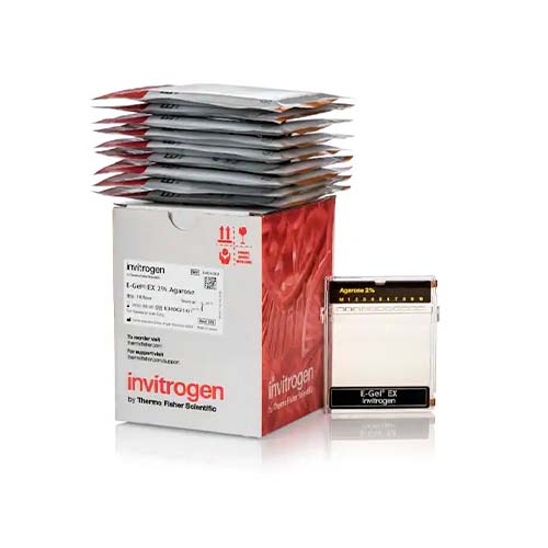 22727. GEL DE AGAROSA E-GEL EX 2% C/10 INVITROGEN