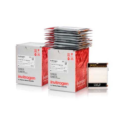 20382. GELES DE AGAROSA DE USO GENERAL 2% 18 GELES - INVITROGEN