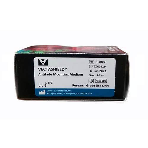 11887. VECTASHIELD ANTIFADE MOUNTING MEDIUM 10ML - VECTOR