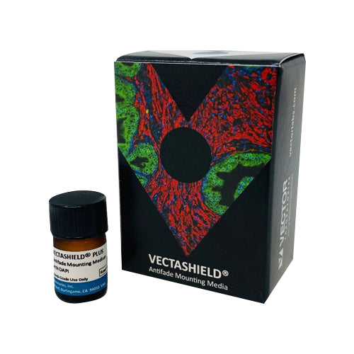 5265. VECTASHIELD PLUS ANTIFADE MOUNTING MEDIUM WITH DAPI 2ML VECTOR