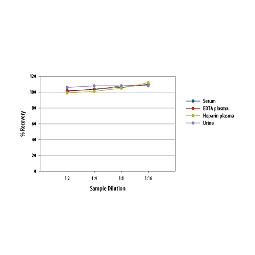 18481. HUMAN IL-6 QUANTIKINE HS ELISA KIT - R&D SYSTEMS