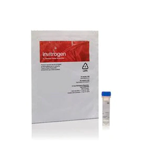 3164. ISOLECTIN GS-IB4 FROM GRIFFONIA SIMPLICIFOLIA, ALEXA FLUOR 488 CONJUGATE, 500UG MOLECULAR PROBES - INVITROGEN