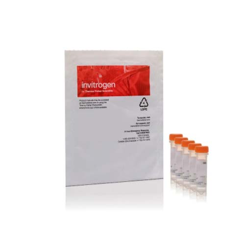 20917. REACTIVO IMAGE-IT TMRM 5X100UL - INVITROGEN