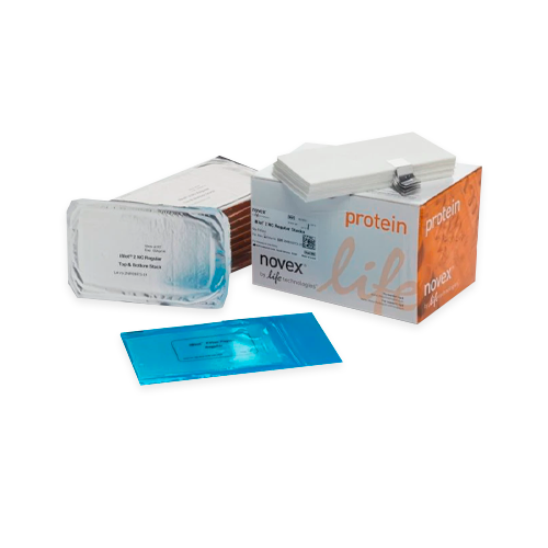 20038. PILAS DE TRANSFERENCIA IBLOT 2, NITROCELULOSA TAMAÑO NORMAL C/10 - NOVEX