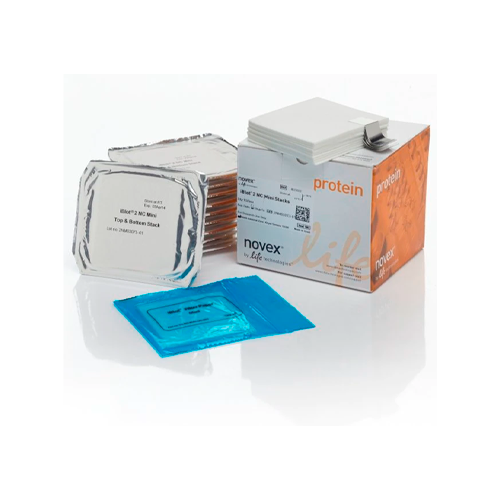 19803. PILAS DE TRANSFERENCIA IBLOT 2, NITROCELULOSA MINI C/10  - INVITROGEN