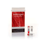 21888. ANZA 11 ECORI 8000U - INVITROGEN