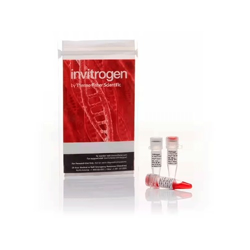 26866. ANZA13 ESP3I 800UNITS INVITROGEN