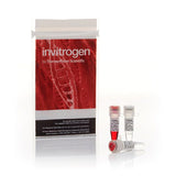 53542. ANZA 68 BSURI, 2500U, INVITROGEN PIEZA CON 2500 - INVITROGEN