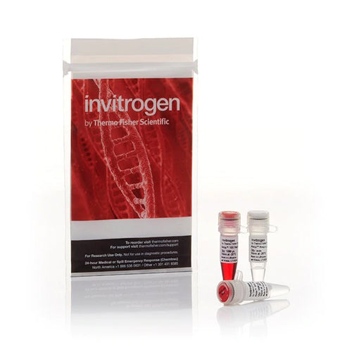 53542. ANZA 68 BSURI, 2500U, INVITROGEN PIEZA CON 2500 - INVITROGEN