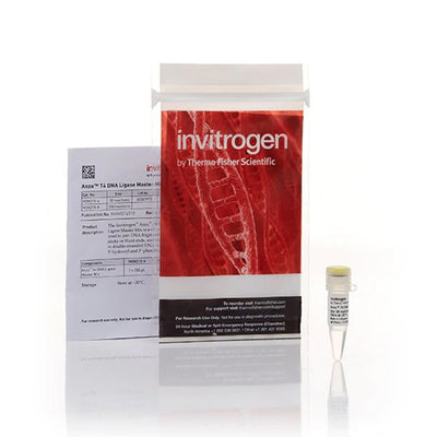 53550. ANZA T4 DNA LIGASE MASTER MIX 200 REACCIONES - INVITROGEN