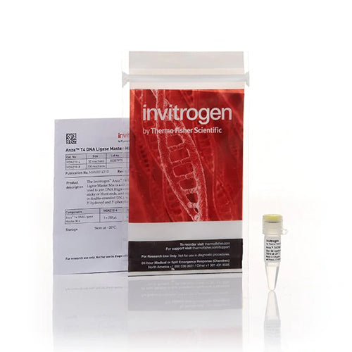 3654. ANZA T4 DNA LIGASE MASTER MIX 200 REACCIONES - INVITROGEN