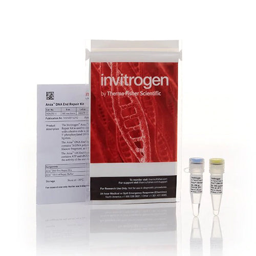 3657. ANZA DNA END REPAIR KIT 20 REACCIONES - INVITROGEN