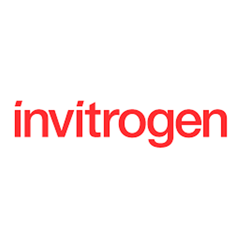6395. PROTEINA G-HRP RECOMBINANTE 1ML -  INVITROGEN